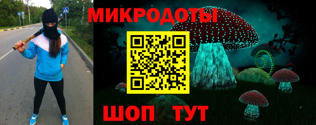 Галлюциногенные грибы мухоморы  Вход с VPN  Галлюциногенные грибы прущие грибы  Прохладный 